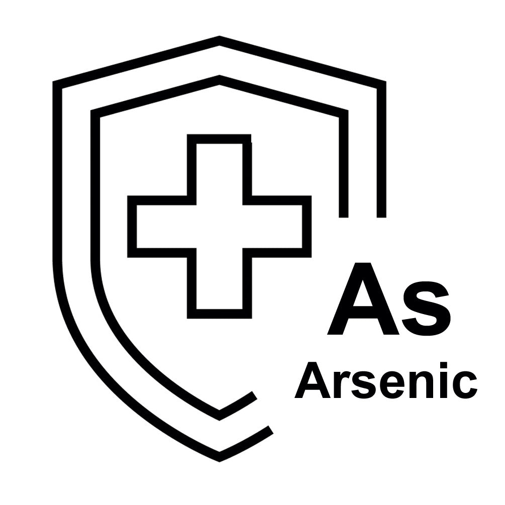 GFH 10 SX TS - Arsen Wasserfilter