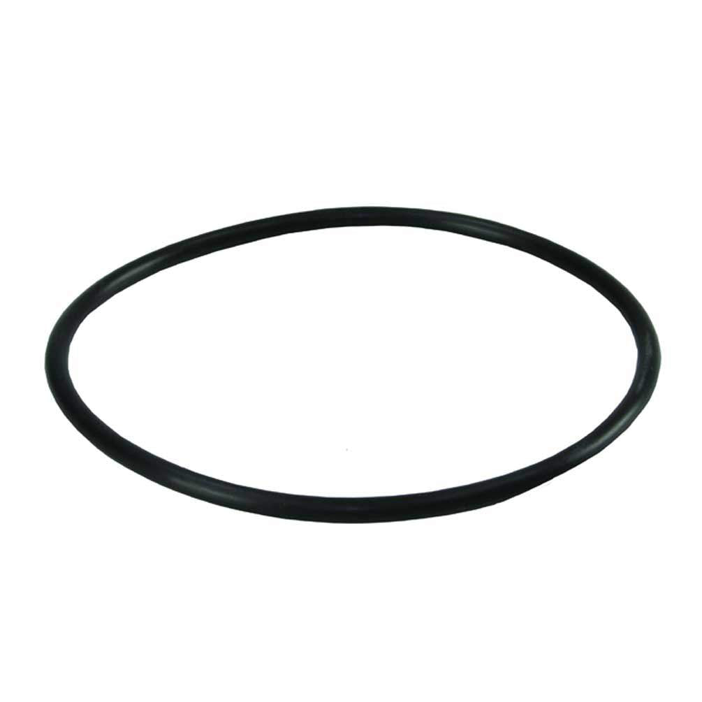 O1H - O-ring filter housing 2P DEPURAL